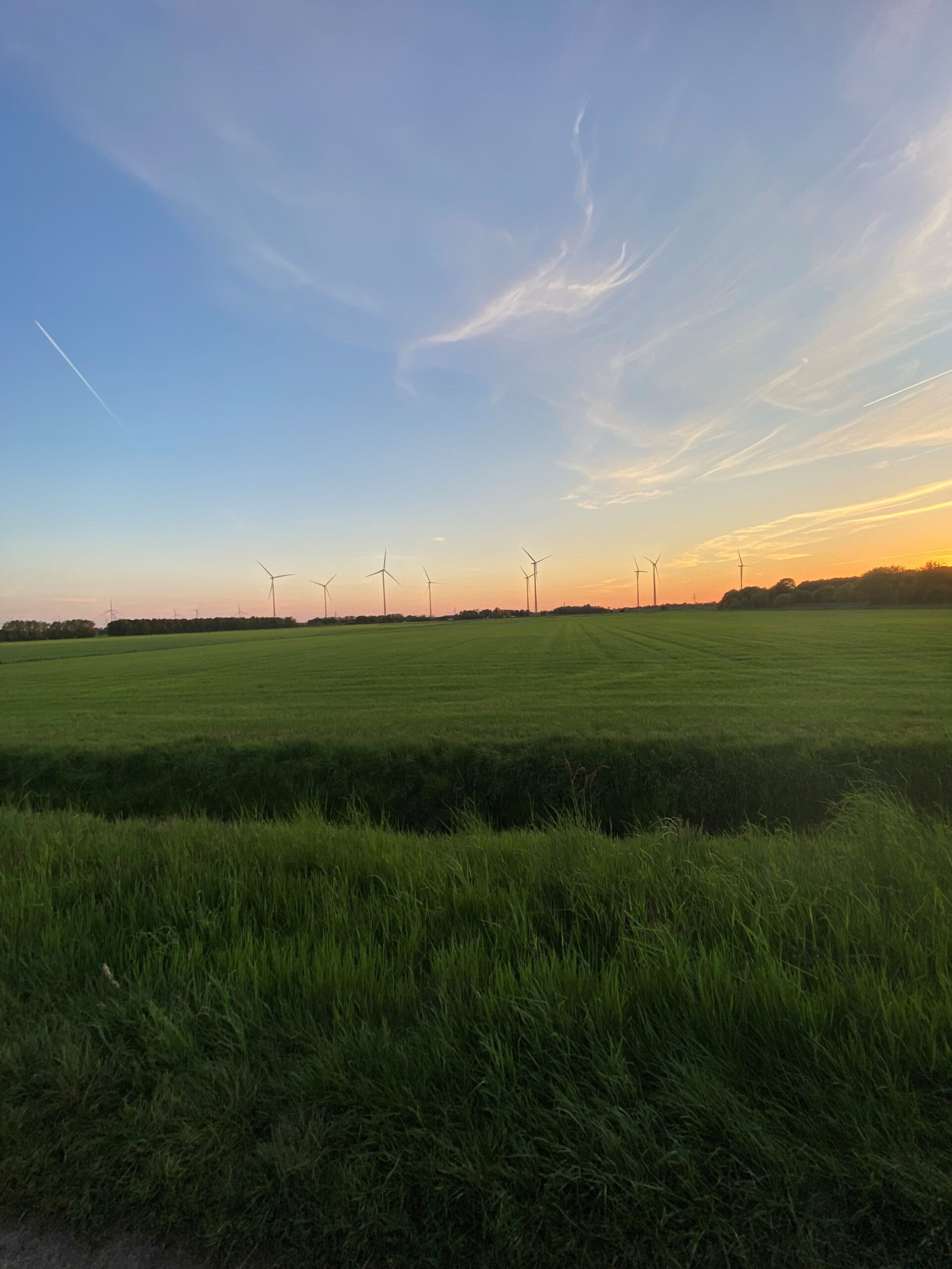 Frühling Schulte-Wülwer, Jonas